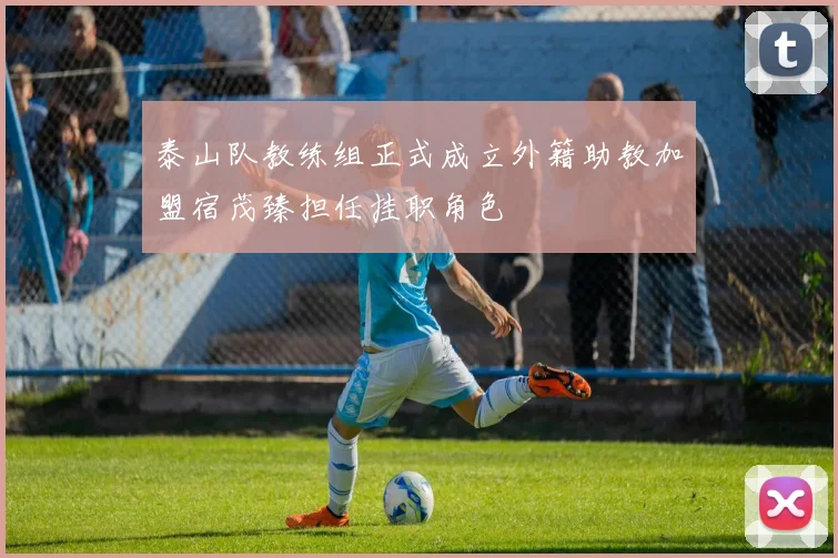 泰山队教练组正式成立外籍助教加盟宿茂臻担任挂职角色